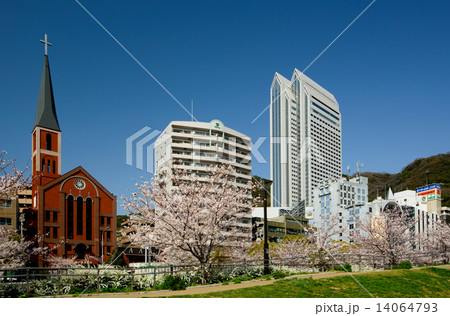新神戸の桜 新神戸の桜 14064793