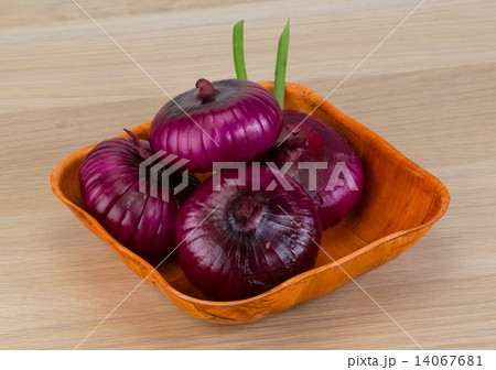 Violet onion Violet onion 14067681
