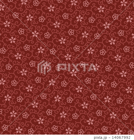桜　唐草模様 14067992
