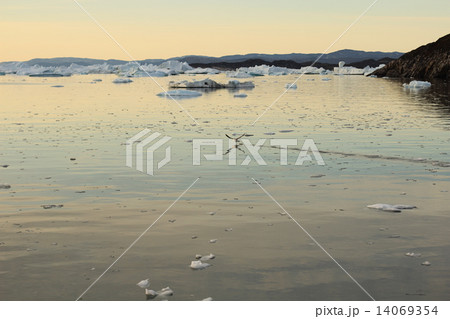 グリーンランド氷河白夜クルーズ（Glaciers in Greenland - the midnight sun tour) 14069354