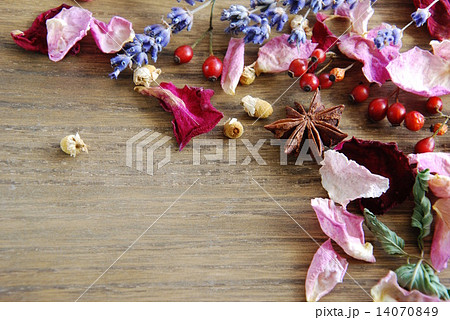 ドライハーブ 14070849