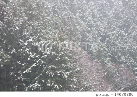雪景色 雪景色 14070886