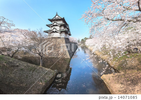桜と弘前城の水鏡その１ 14071085