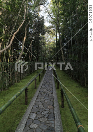 高桐院 高桐院 14071655
