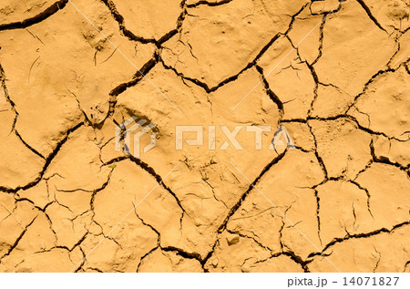 texture of dry and cracked earth background texture of dry and cracked earth background 14071827