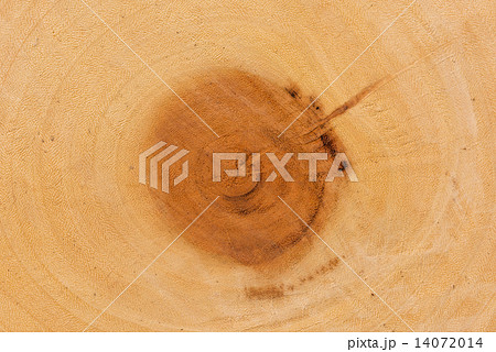 Cut of old trunk is photographed closely. The core of tree consist of growth rings and deep cracks. 14072014