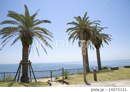 宮崎　日南海岸　堀切峠 14073131