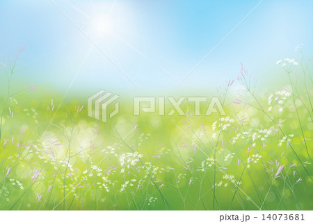 Vector spring floral  background. 14073681