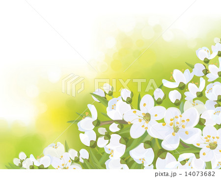 Vector spring blossoming tree on bokeh background. Vector spring blossoming tree on bokeh background. 14073682