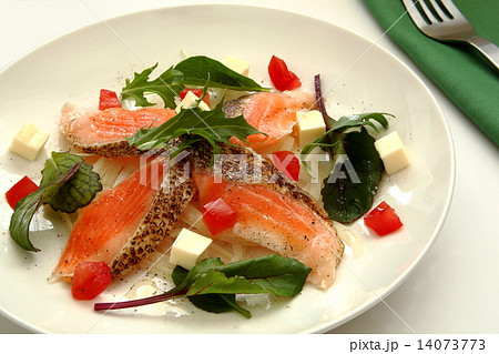 カルパッチョ　サーモン　前菜 14073773