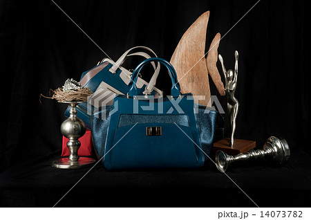 Fashionable handbag composition  14073782