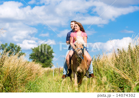 Couple riding on horse in summer meadow 14074302