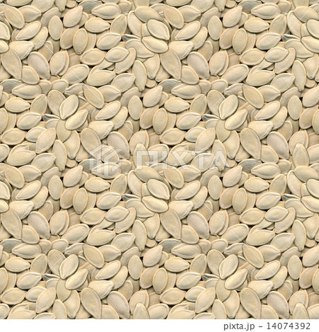 Pumpkin Seeds Seamless Background Pumpkin Seeds Seamless Background 14074392
