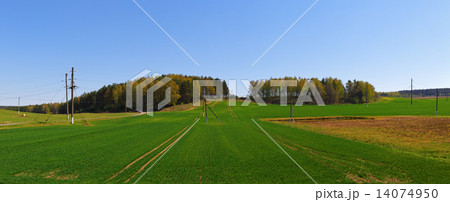 Panoramic landscape Panoramic landscape 14074950