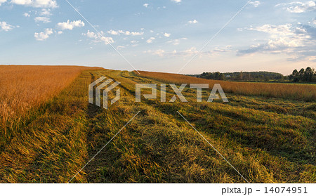 Rural landscape Rural landscape 14074951