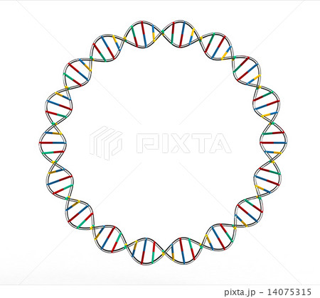 DNA circle DNA circle 14075315