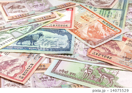 Money from Nepal, various Rupee banknotes. 14075529