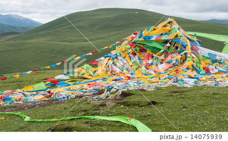 中国・四川省理塘 タルチョ 中国・四川省理塘 タルチョ 14075939
