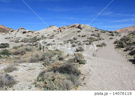 レッドロックキャニオン州立公園 14076119