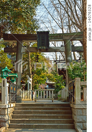 浅草散歩：鳥越神社 14076328