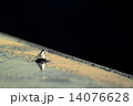 朝焼けの氷 14076628