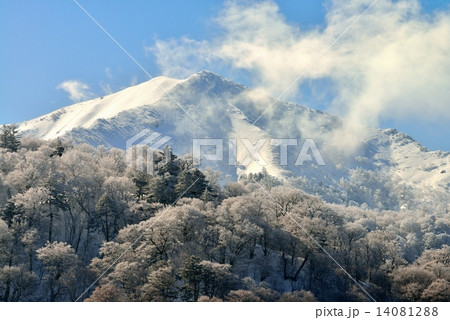 次郎笈冬景1 次郎笈冬景1 14081288