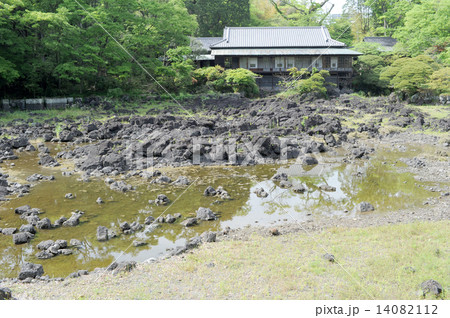 楽寿館と小浜池 14082112