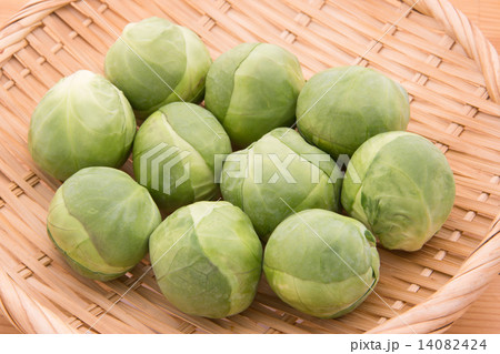 芽キャベツ 芽キャベツ 14082424