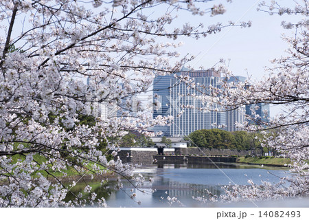tokyo_spring tokyo_spring 14082493