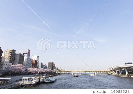 tokyo_spring tokyo_spring 14082525