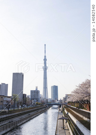 tokyo_spring tokyo_spring 14082540
