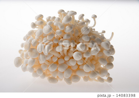 エノキダケ 14083398