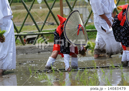 御田植祭 14083479