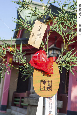 福笹 福笹 14084046