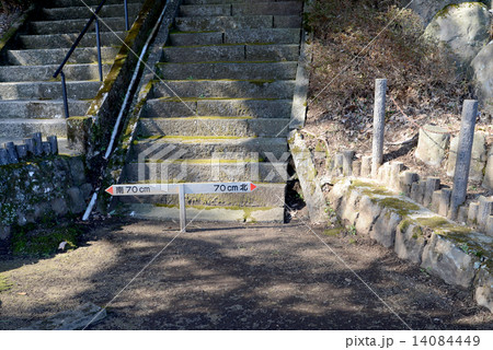 火雷神社の断層 火雷神社の断層 14084449
