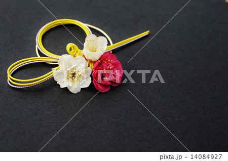 紅梅と白梅の花 紅梅と白梅の花 14084927