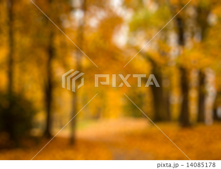 Defocused blurred autum background Defocused blurred autum background 14085178