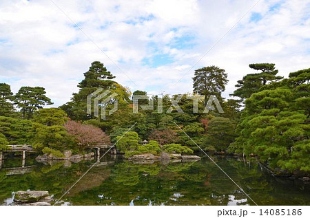 京都御所の庭園 京都御所の庭園 14085186