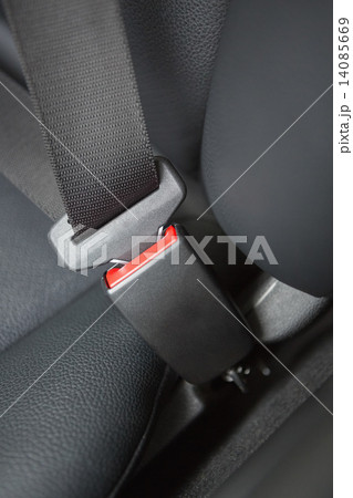 seat belt 14085669