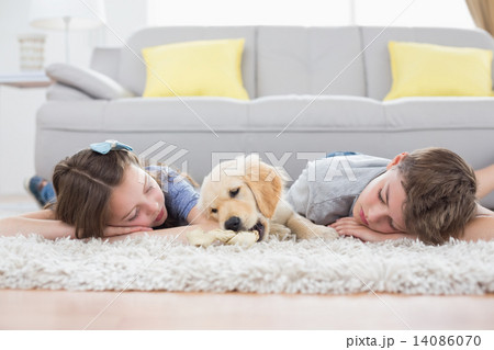Siblings sleeping with dog on rug 14086070