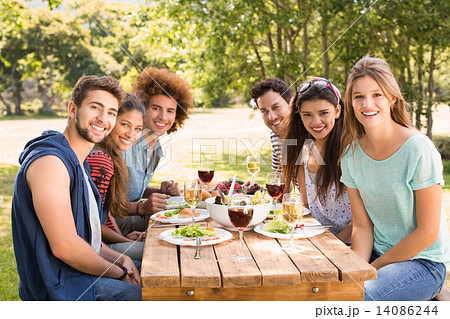 Happy friends in the park having lunch 14086244