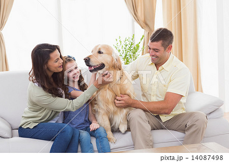 Family stroking dog while sitting on sofa Family stroking dog while sitting on sofa 14087498