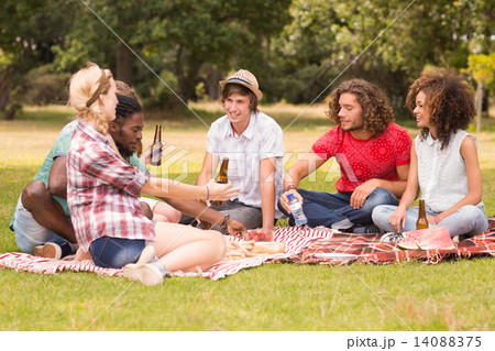 Happy friends in the park having picnic 14088375