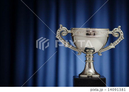 Silver Cup of the winner 14091381