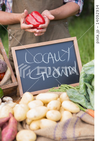 Farmer selling organic veg at market 14092934