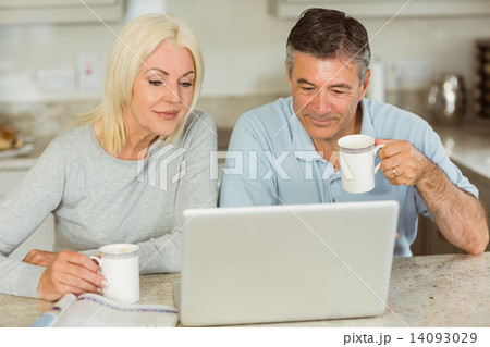 Happy mature couple using laptop 14093029