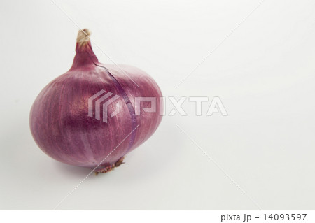 野菜 紫たまねぎ シンプル・白バックの写真 14093597