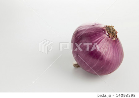 野菜 紫たまねぎ シンプル・白バックの写真 14093598