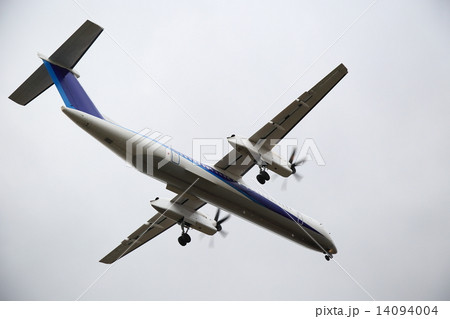 ANA 14094004