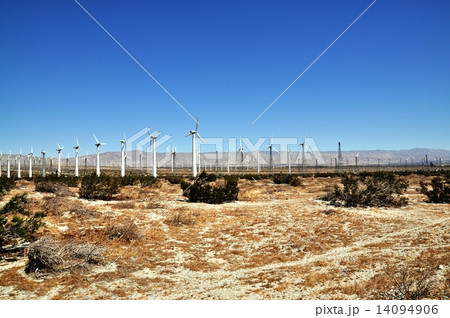 カリフォルニア　Palm Springs近郊の風力発電 14094906